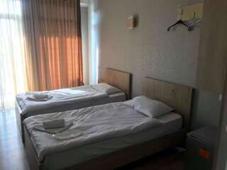Отель Petre Palace Тбилиси Двухместный номер с 2 отдельными кроватями-4