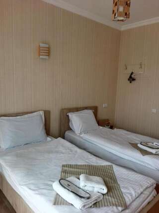 Отель Petre Palace Тбилиси Двухместный номер с 2 отдельными кроватями-1